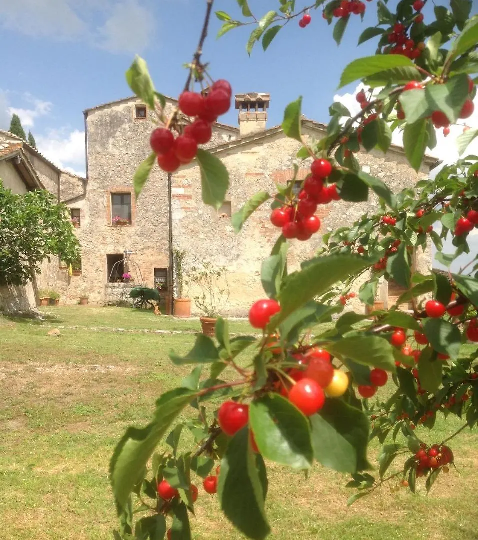 La Canonica Di San Michele Monteriggioni Bed & Breakfast
